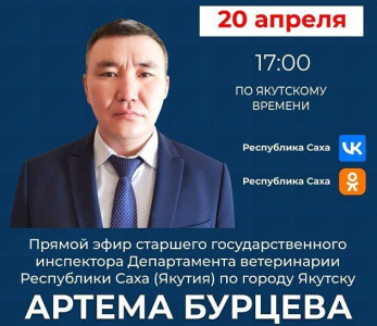 Старший госинспектор Департамента ветеринарии Якутии выступит в прямом эфире соцсетей / ЯСИА   