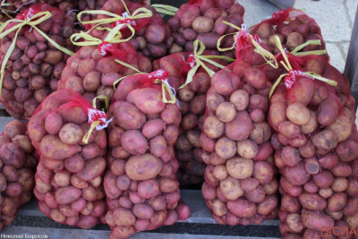 Роспотребнадзор рассказал, какой картофель полезен / ЯСИА   