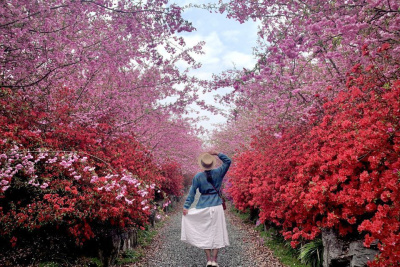 НОТК ищет активных блогеров для поездки в Южную Корею / ЯСИА   