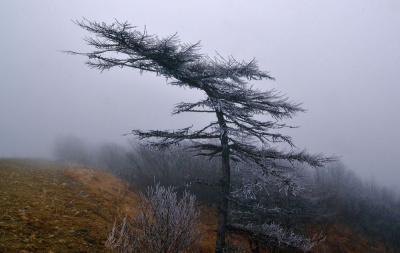 Усиление ветра 7 мая /    