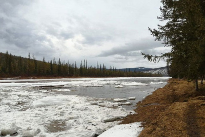 На реке Тяня в Олекминском районе уровень воды за сутки поднялся на 78 см / ЯСИА   