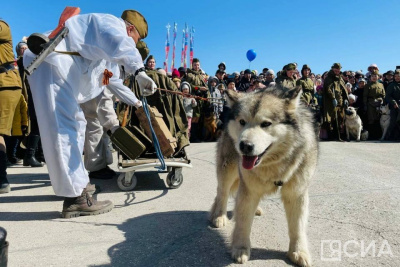 В Якутске прошли показательные выступления собак / Мария Архипова Якутск Якутск Республика Саха (Якутия)