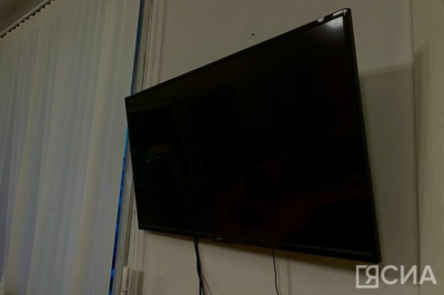 Помехи на телеэкранах появятся из-за солнечной интерференции / ЯСИА   