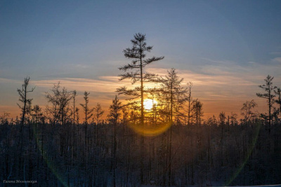 Сильная магнитная буря накроет сегодня Землю / ЯСИА   