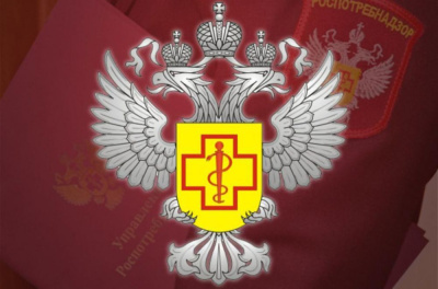 Деятельность Роспотребнадзора в сфере защиты прав потребителей /    