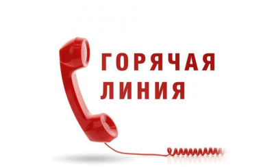 Разговор о клещах актуален всегда /    