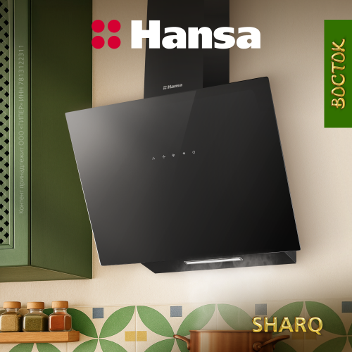 Наклонная вытяжка Hansa OKP653SBH