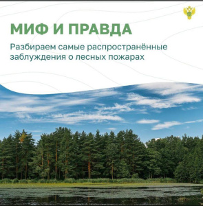Миф и правда о лесном пожаре /    