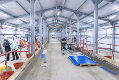 203 млн рублей выделили сельхозпредприятиям Якутии на строительство животноводческих комплексов / Нюргун Семенов   