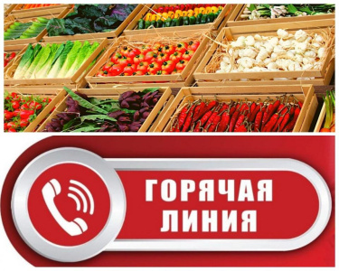 Внимание! «Горячая линия»  о качестве и безопасности плодоовощной продукции и срокам годности /    