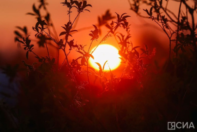 Ученые предупредили о повышенной солнечной активности / ЯСИА   