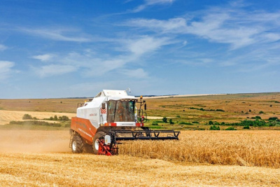 Сельхозпроизводители рассказали о выборе зерноуборочной техники / ЯСИА   