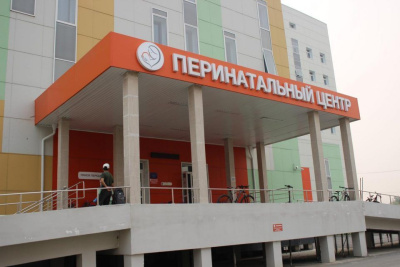 Данара Донская: «Перинатальный центр — это определенная технология организации медицинской помощи» / ЯСИА   