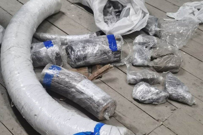 16 тонн бивней мамонта на 192 млн рублей вывезли за границу два дальневосточника / ЯСИА   