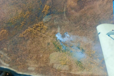 В 33 км от Покровска возник лесной пожар / ЯСИА   