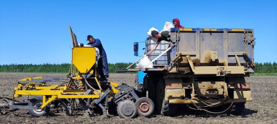 Почти все засеяли /    