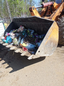 Мусор с субботника принимают на ТБО бесплатно /    