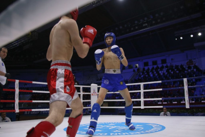 Якутские кикбоксеры пробились в финал Кубка мира в Беларуси / Дьулустаан Сергеев   