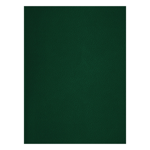 Тетрадь в клетку BG А4 48 л, бумвинил, зеленый