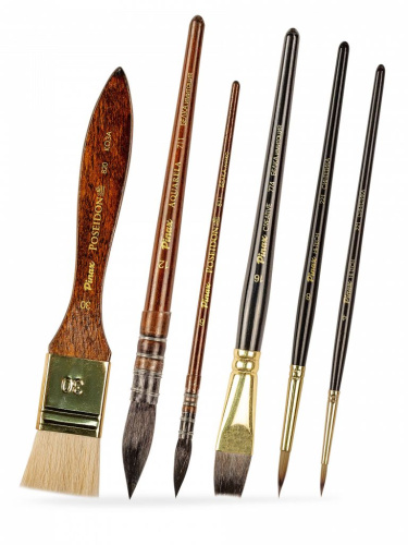 Набор кистей для акварели Pinax "MASTERS CHOICE SET I" АССОРТИ 6 шт