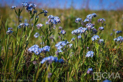 В Минтруде России рассказали о праздничных выходных днях в 2024 году / ЯСИА   