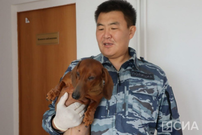 Алексей Колмогоров: «Важна эмоциональная связь между кинологом и собакой» / Нарыйа Пахомова   