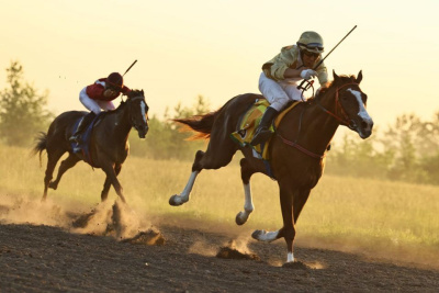 Определены победители конных скачек на приз главы Якутска / Анастасия Филиппова Якутск Якутск Республика Саха (Якутия)