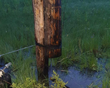 В вилюйской группе районов Якутии восстановили электроснабжение после удара молнии в опору ЛЭП / ЯСИА   Республика Саха (Якутия)