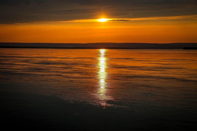 Пока в Якутии была ночь: пожар в зоопарке Ростова-на-Дону, тест «Рувики», транзитная виза в Египте / ЯСИА   Республика Саха (Якутия)