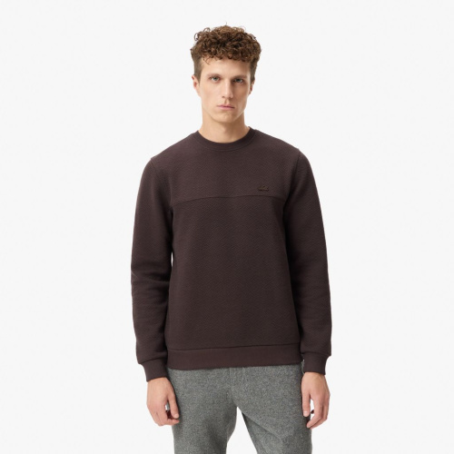 Мужской свитшот Lacoste Regular Fit