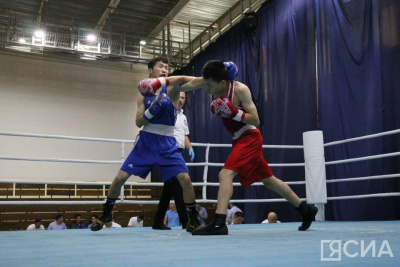 В Якутске стартовал отборочный на чемпионат России турнир по боксу / Дьулустаан Сергеев Якутск Якутск Республика Саха (Якутия)