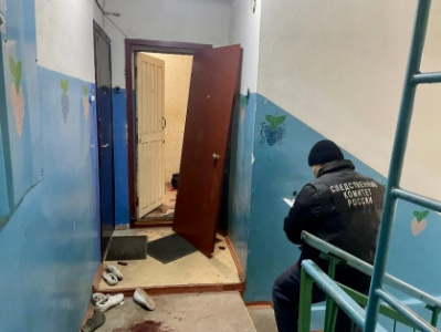 В городе Нерюнгри арестована женщина, обвиняемая в убийстве и покушении на убийство двух человек /    