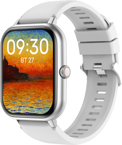 Умные часы Geozon Control Silver