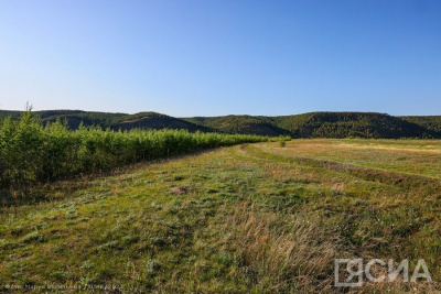 В России предложили бесплатно раздавать землю семьям после 10 лет брака / ЯСИА   