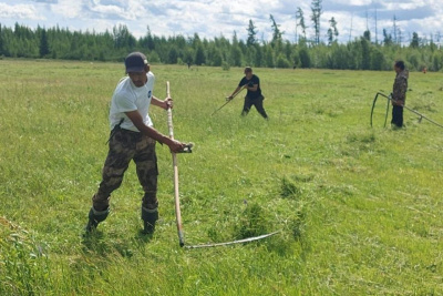 В Якутии главам районов поставлена задача максимального освоения сенокосных угодий / ЯСИА   Республика Саха (Якутия)