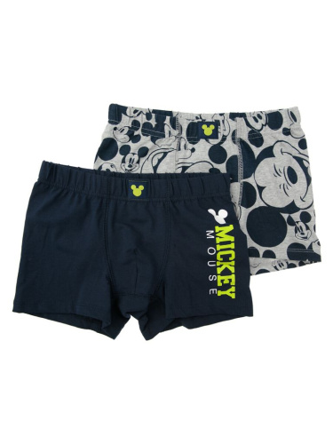 Трусы с принтом Disney для мальчика, 2 шт. в комплекте