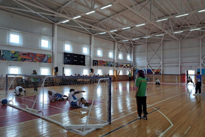 Сурдолимпийский комитет РФ: «Адаптивные виды спорта способствуют созданию комфортной среды в Якутии» / ЯСИА   Республика Саха (Якутия)