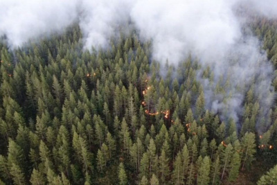 Несколько очагов возгораний потушили на крупном лесном пожаре в Среднеколымском районе / Анастасия Филиппова   