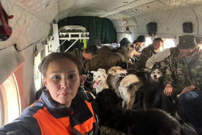 Спасатели эвакуировали оленеводов из зоны природного пожара в Среднеколымском районе / ЯСИА   