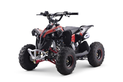 Квадроцикл YACOTA Renegade Mini