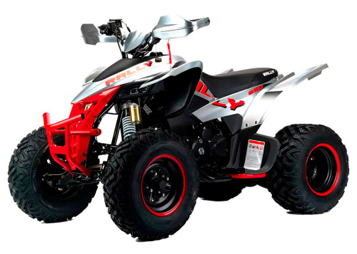 Квадроцикл MOTOLAND RALLY 250