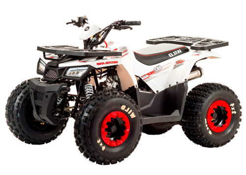 Квадроцикл MOTOLAND 125 Wild
