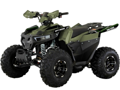 Квадроцикл FXMOTO Tank 125