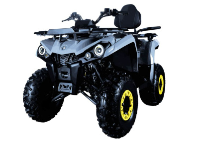 Квадроцикл AVANTIS Forester Long 200 Basic