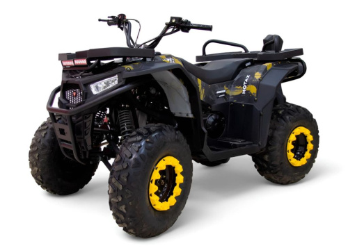 Квадроцикл MOTAX Grizlik W200