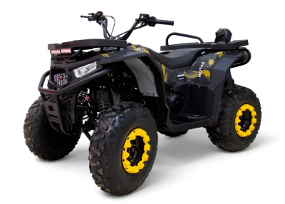 Квадроцикл MOTAX Grizlik W200