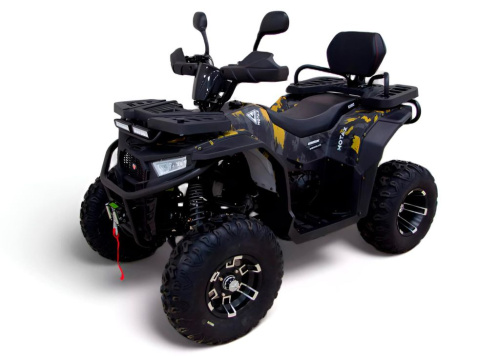 Квадроцикл MOTAX Grizlik W200 LUX