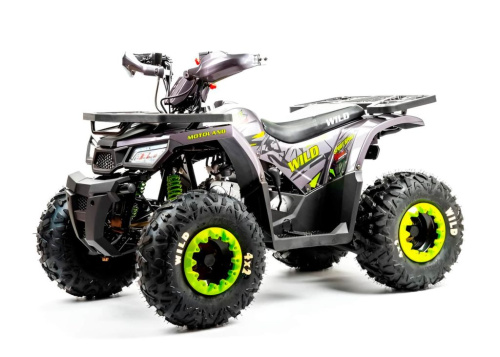 Квадроцикл MOTOLAND Wild Basic 125