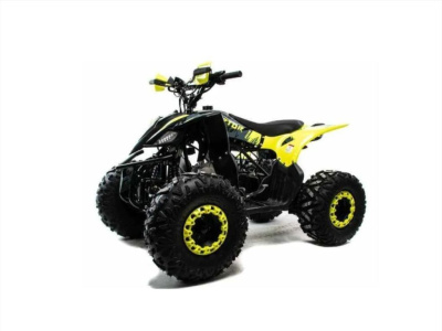 Квадроцикл MOTOLAND ATV RAPTOR A 125