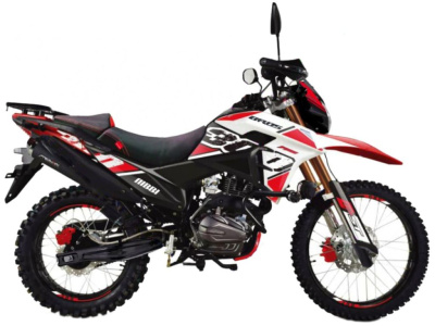 Мотоцикл RACER Ranger RC300-GY8B BROS